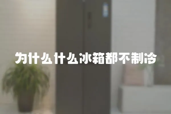 為什么什么冰箱都不制冷