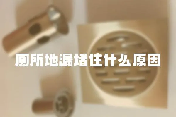 廁所地漏堵住什么原因