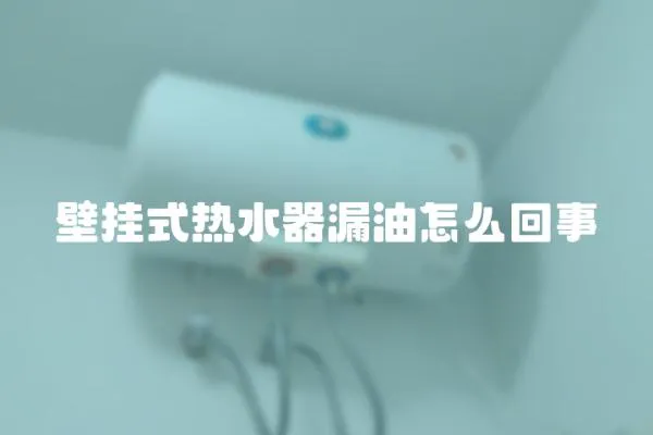 壁掛式熱水器漏油怎么回事