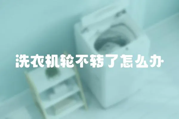洗衣機輪不轉了怎么辦