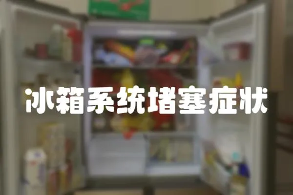 冰箱系統(tǒng)堵塞癥狀