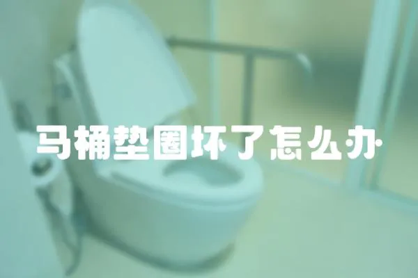 馬桶墊圈壞了怎么辦