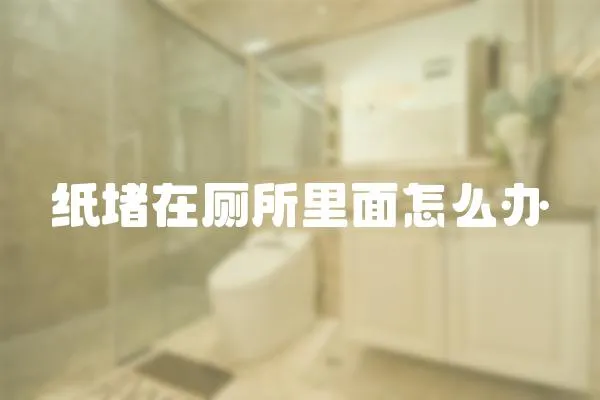 紙堵在廁所里面怎么辦