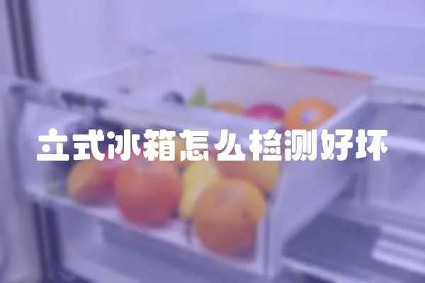 立式冰箱怎么檢測好壞