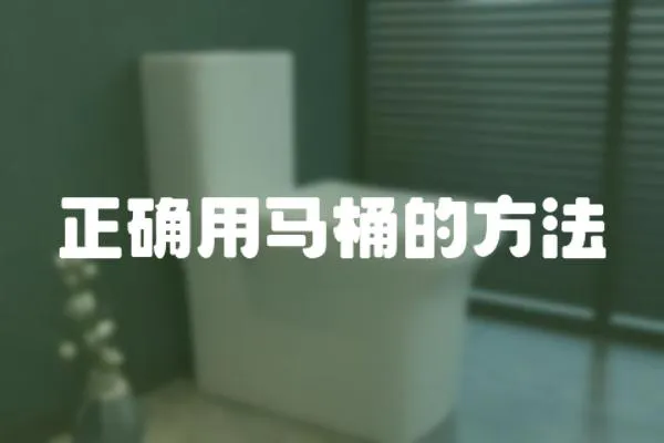 正確用馬桶的方法