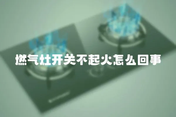燃?xì)庠铋_關(guān)不起火怎么回事