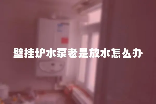 壁掛爐水泵老是放水怎么辦