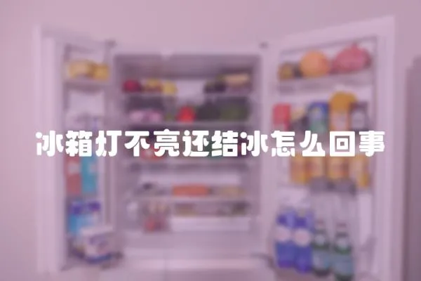 冰箱燈不亮還結冰怎么回事