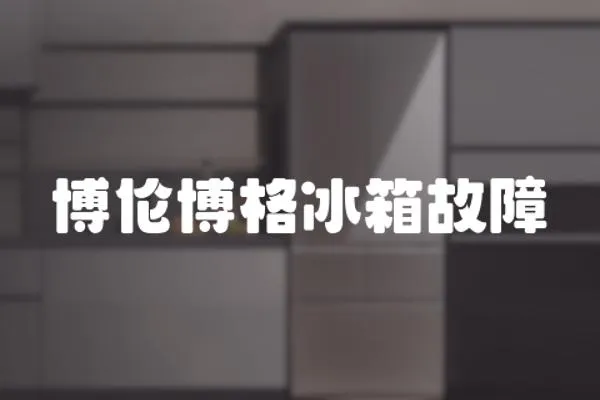 博倫博格冰箱故障