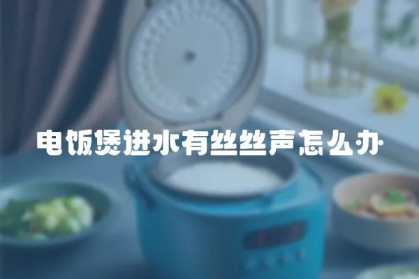 電飯煲進水有絲絲聲怎么辦