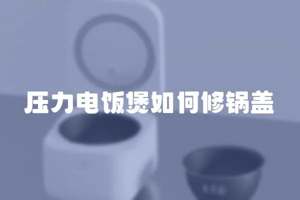 壓力電飯煲如何修鍋蓋