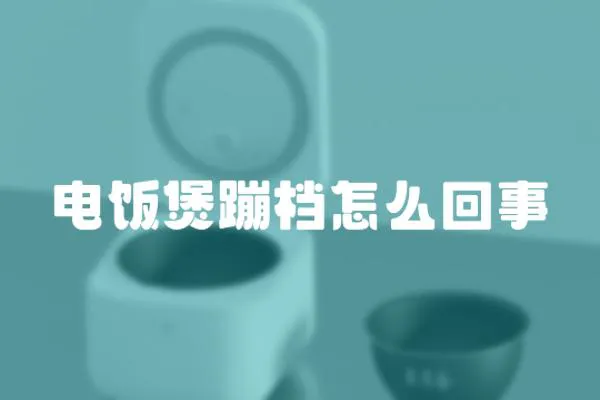 電飯煲蹦檔怎么回事