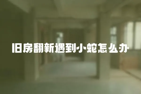 舊房翻新遇到小蛇怎么辦