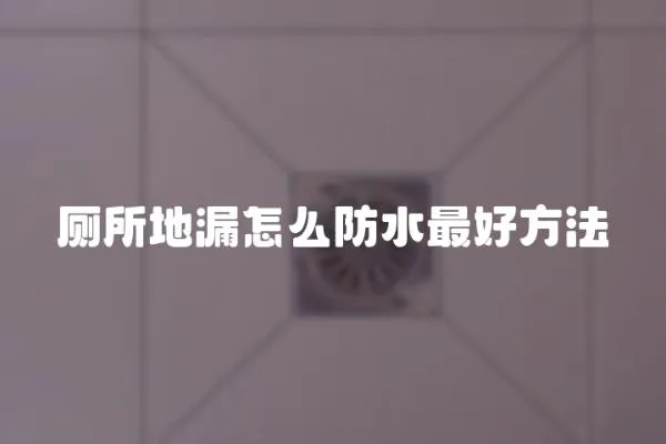 廁所地漏怎么防水最好方法