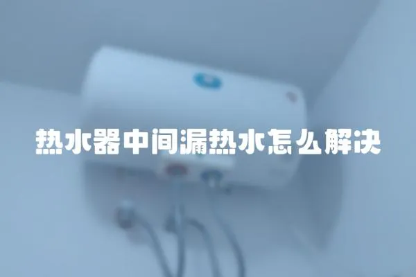 熱水器中間漏熱水怎么解決