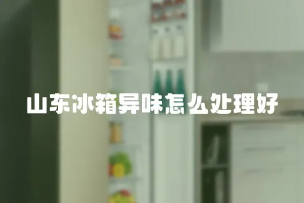 山東冰箱異味怎么處理好