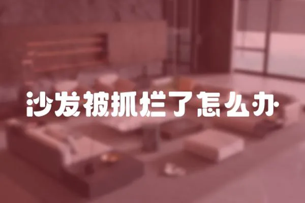 沙發被抓爛了怎么辦