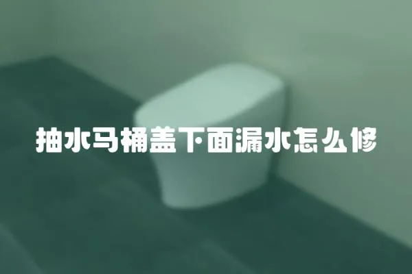 抽水馬桶蓋下面漏水怎么修