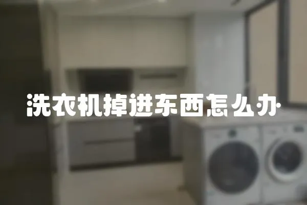 洗衣機掉進東西怎么辦