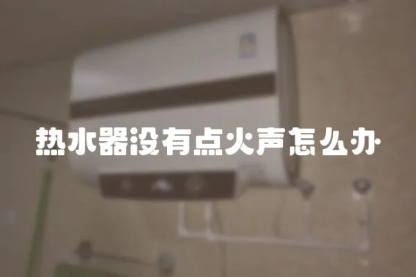 熱水器沒有點火聲怎么辦