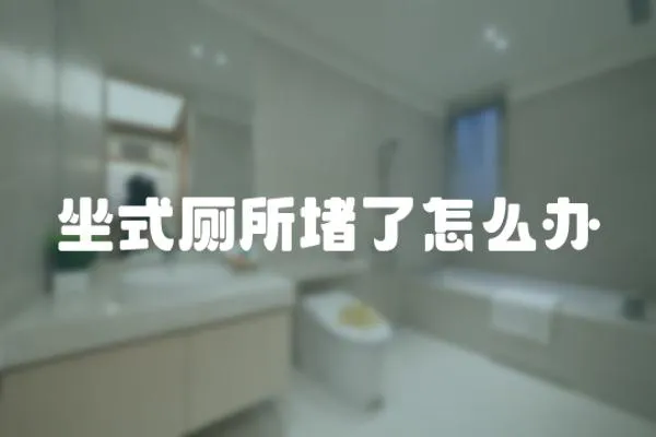 坐式廁所堵了怎么辦