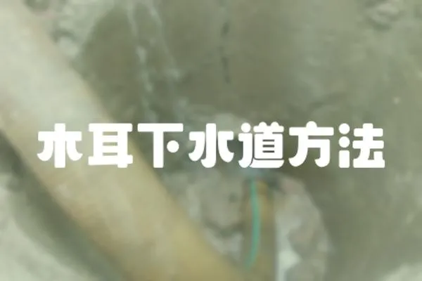 木耳下水道方法