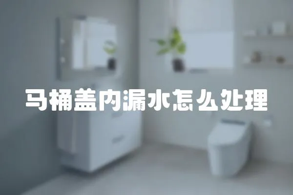 馬桶蓋內漏水怎么處理
