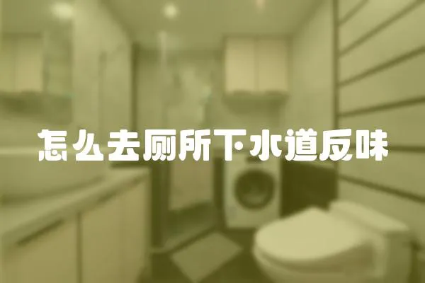 怎么去廁所下水道反味