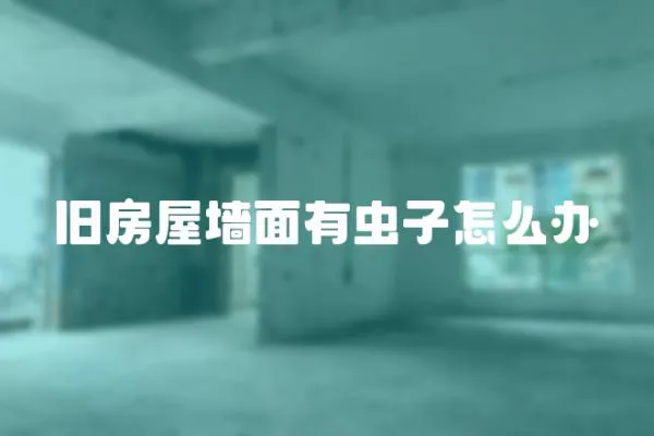 舊房屋墻面有蟲子怎么辦