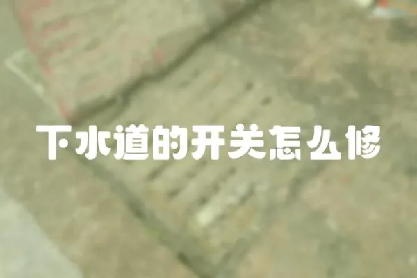 下水道的開關怎么修
