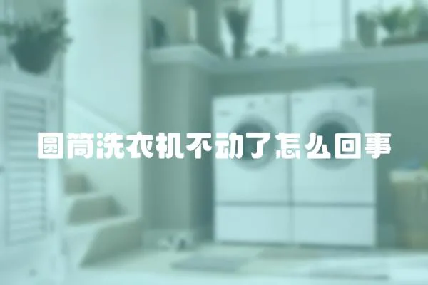 圓筒洗衣機不動了怎么回事
