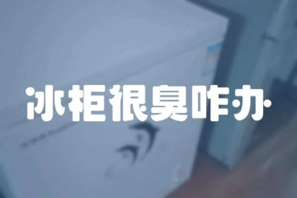 冰柜很臭咋辦