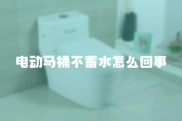 電動馬桶不蓄水怎么回事