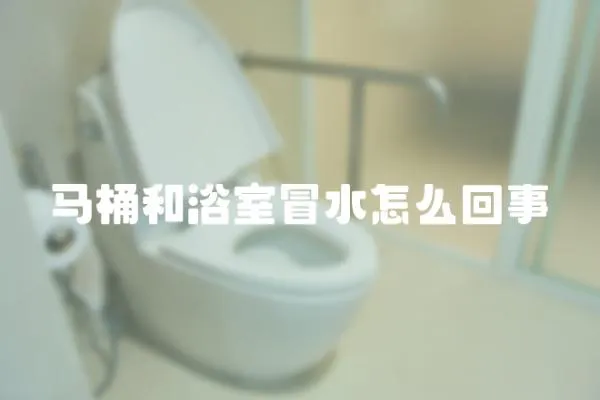 馬桶和浴室冒水怎么回事