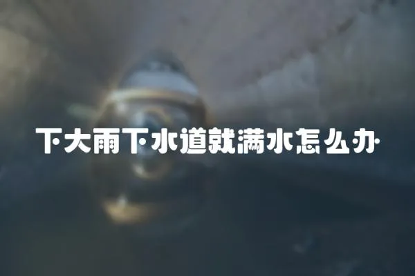 下大雨下水道就滿水怎么辦