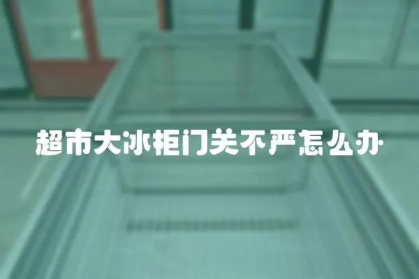 超市大冰柜門關不嚴怎么辦