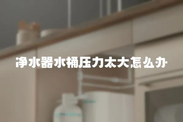凈水器水桶壓力太大怎么辦