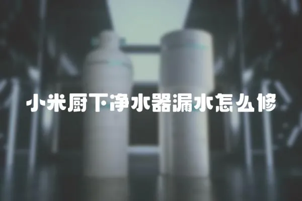 小米廚下凈水器漏水怎么修
