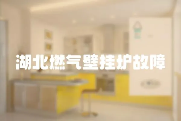 湖北燃氣壁掛爐故障