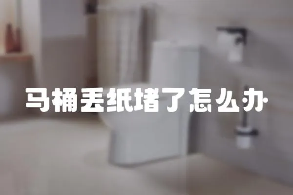 馬桶丟紙堵了怎么辦