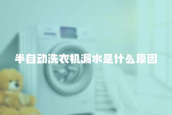 半自動洗衣機漏水是什么原因