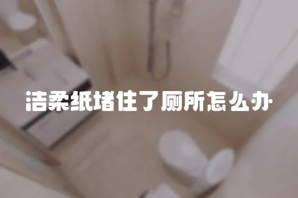 潔柔紙堵住了廁所怎么辦