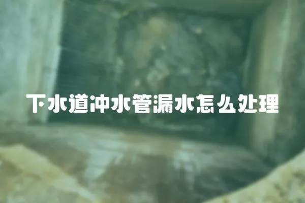 下水道沖水管漏水怎么處理