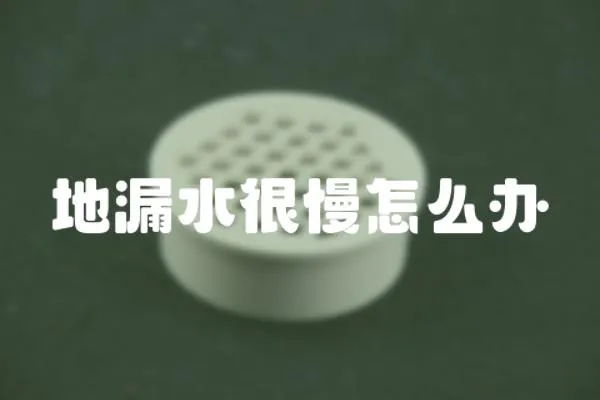 地漏水很慢怎么辦
