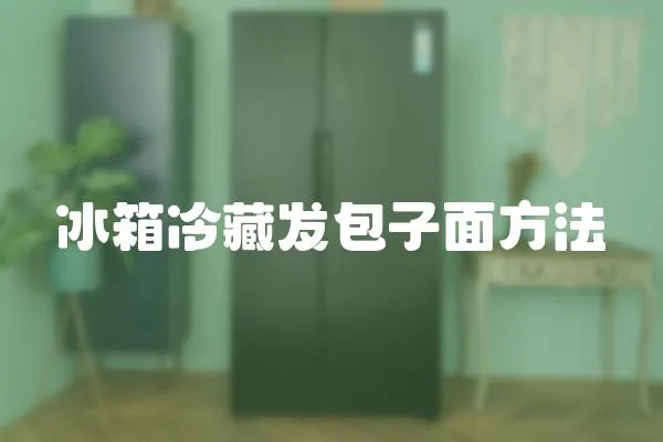 冰箱冷藏發包子面方法