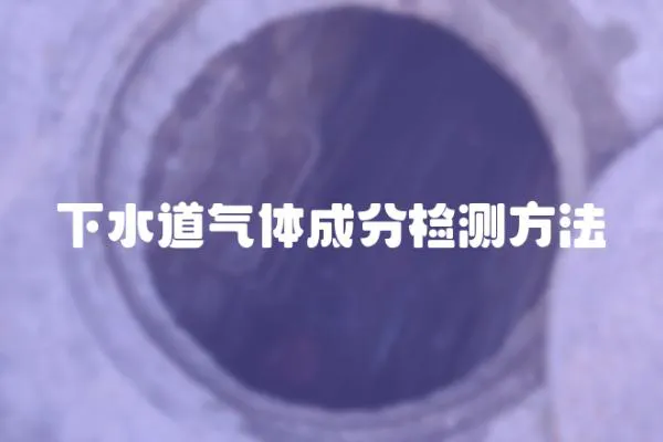 下水道氣體成分檢測(cè)方法