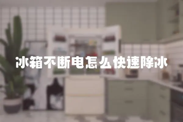 冰箱不斷電怎么快速除冰