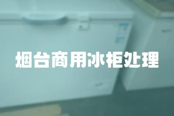 煙臺商用冰柜處理