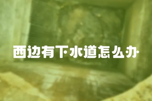 西邊有下水道怎么辦