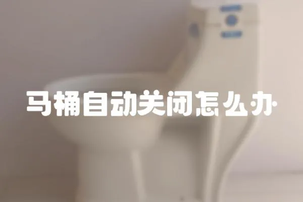 馬桶自動關閉怎么辦